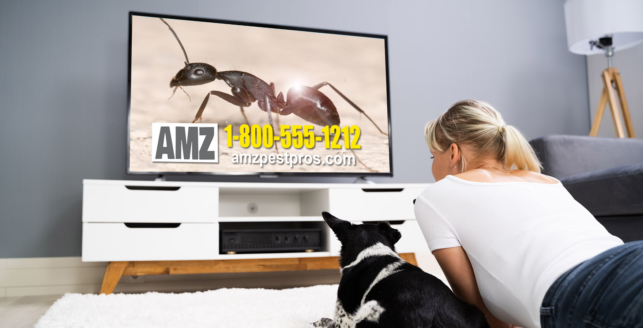 Use TV to reach homeowners in your immediate market